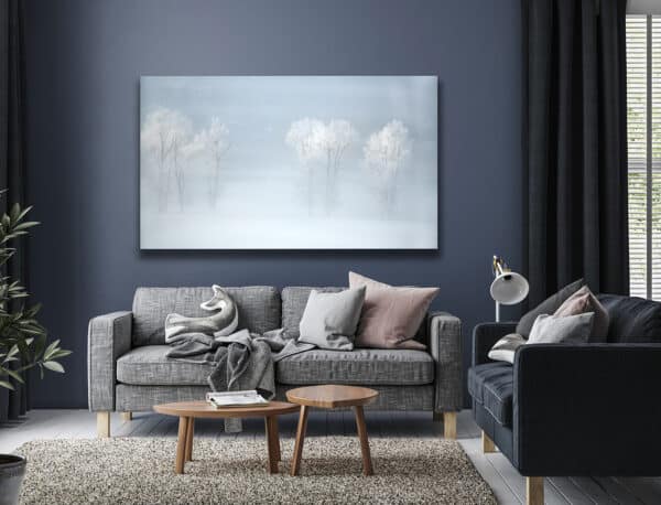 GD Whalen Photography Museum Grade Crystal Archival Prints Landscape photography wildlife photography nature photography