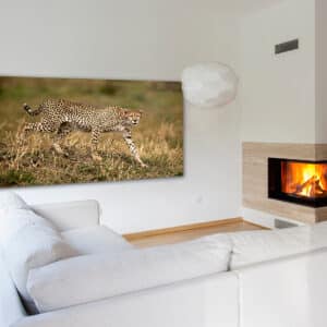GD Whalen Photography Museum Grade Crystal Archival Prints Landscape photography wildlife photography nature photography