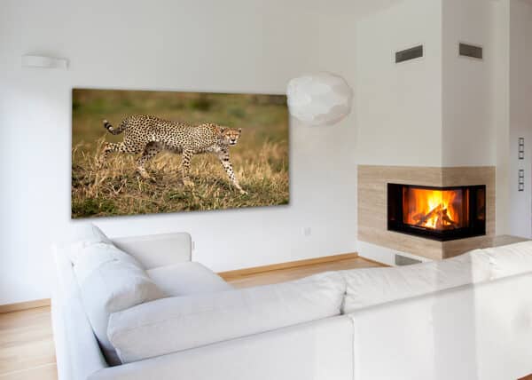 GD Whalen Photography Museum Grade Crystal Archival Prints Landscape photography wildlife photography nature photography